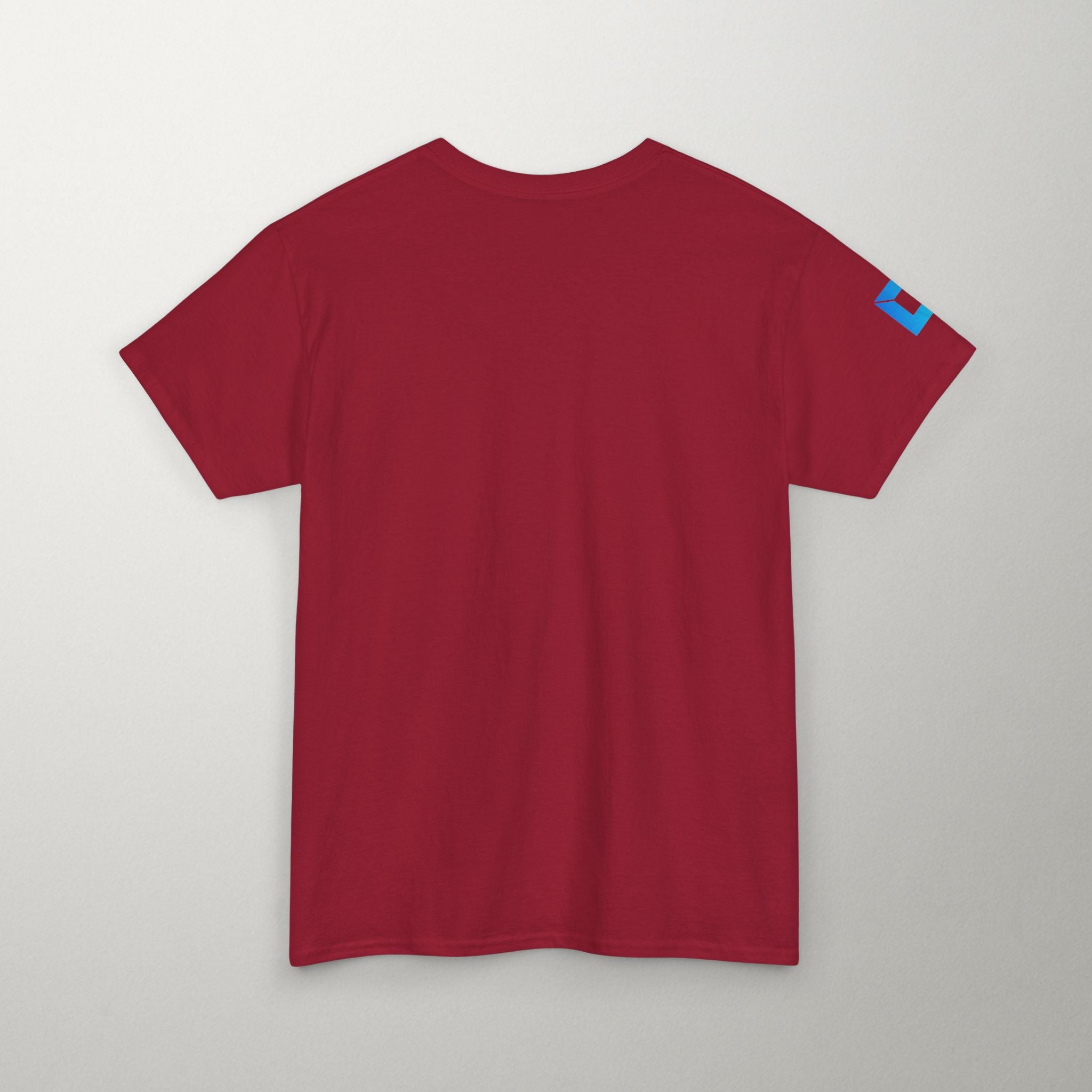 Predi Day Motivational Tee