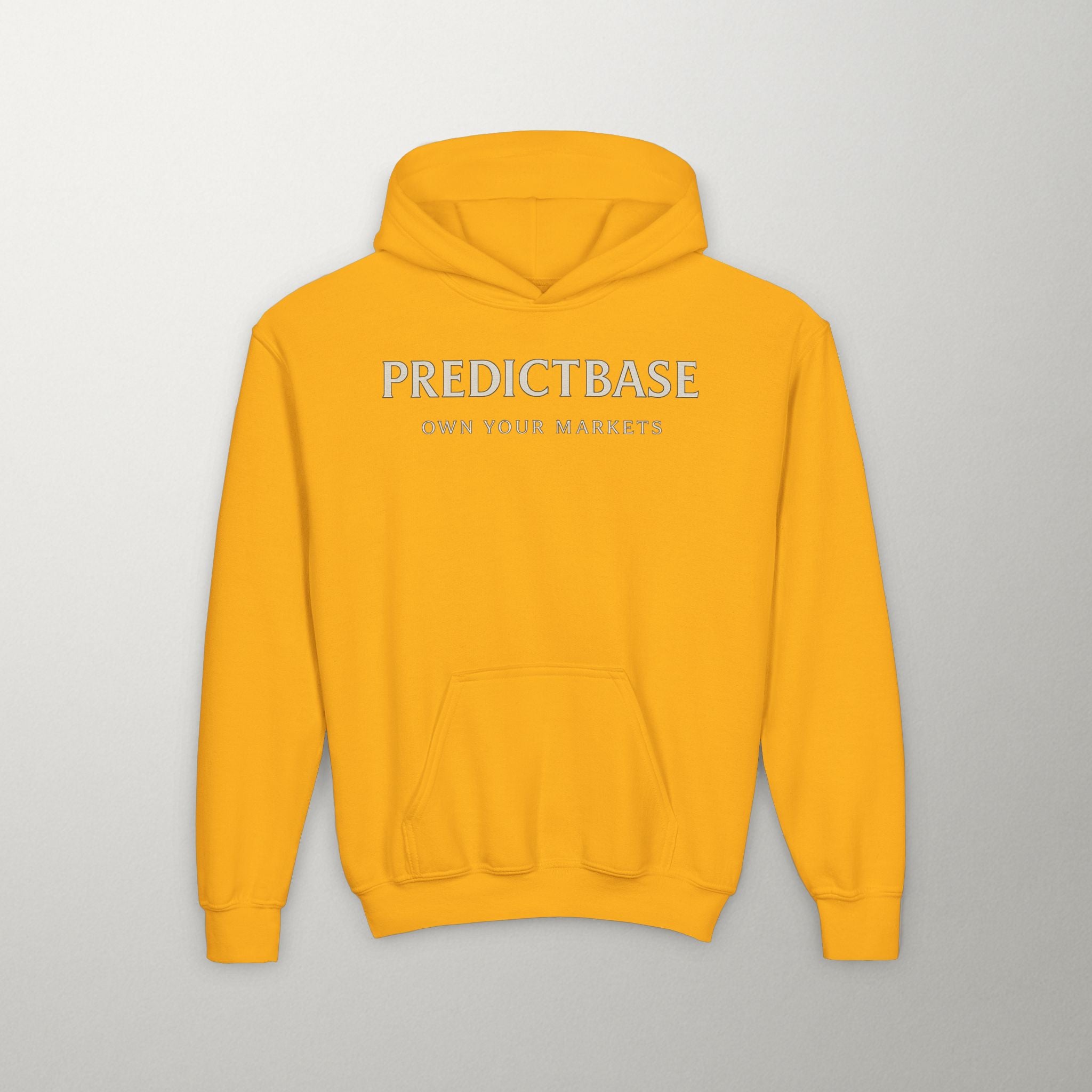 Predictbase Youth Hoodie | Predibot Logo Edition