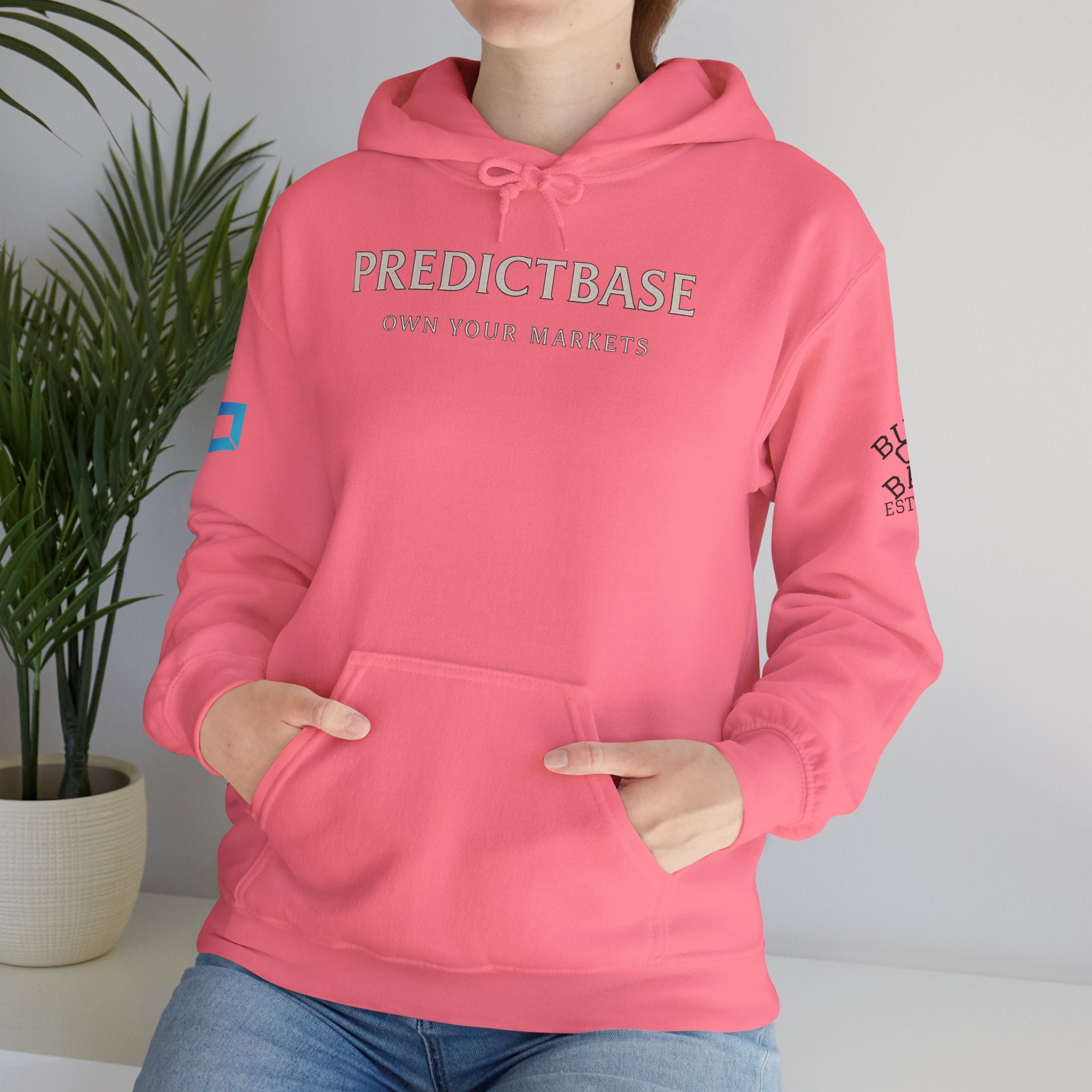 Predictbase Own Your Markets Hoodie