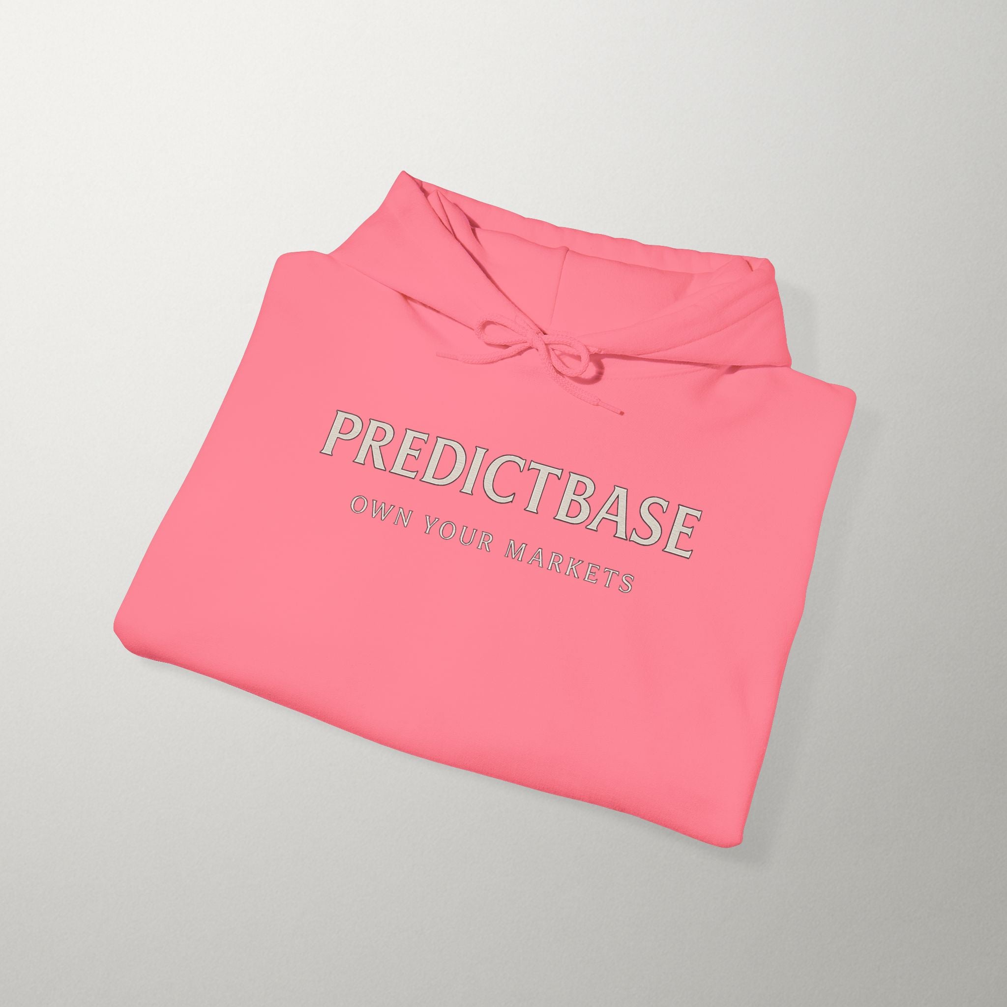 Predictbase Own Your Markets Hoodie