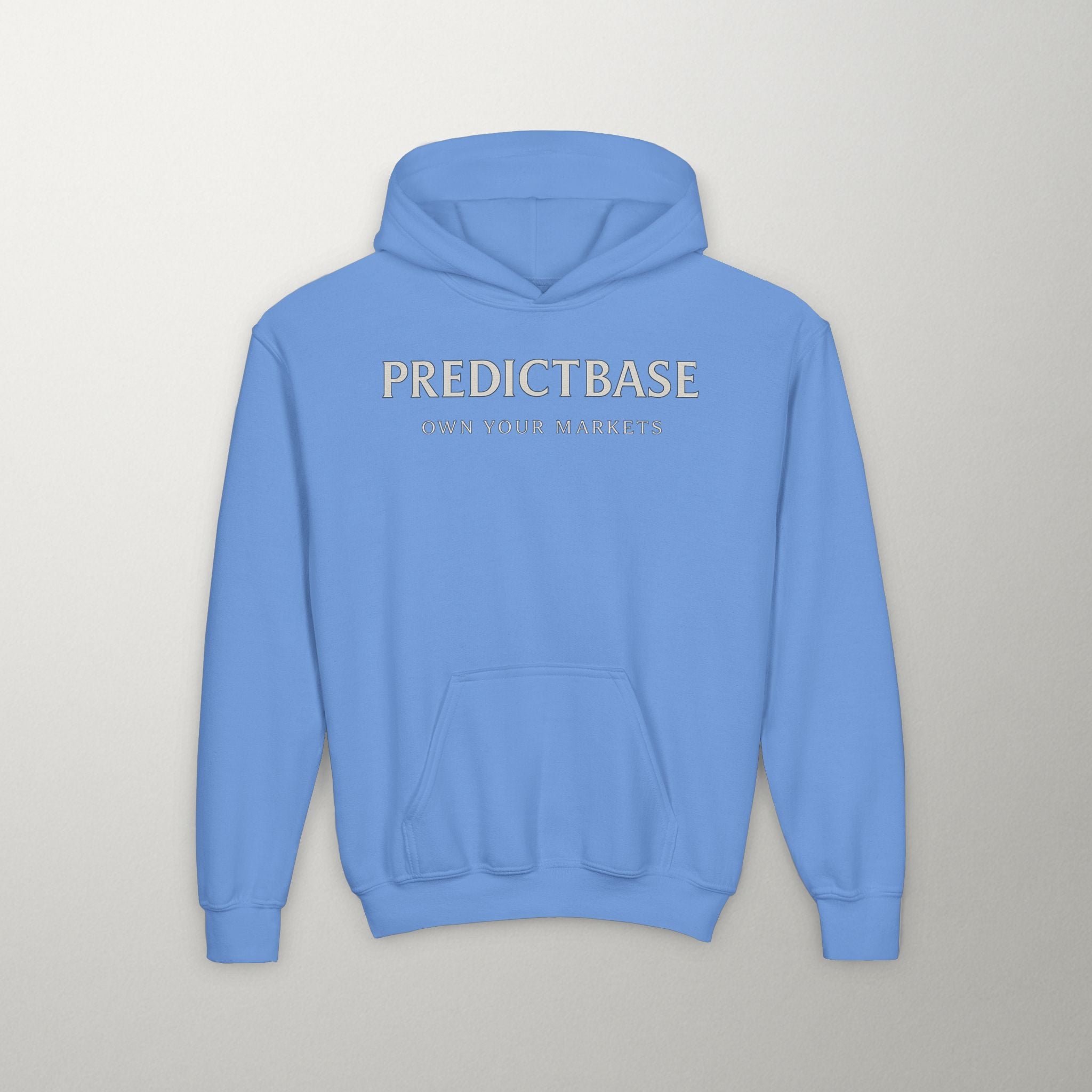 Predictbase Youth Hoodie | Predibot Logo Edition