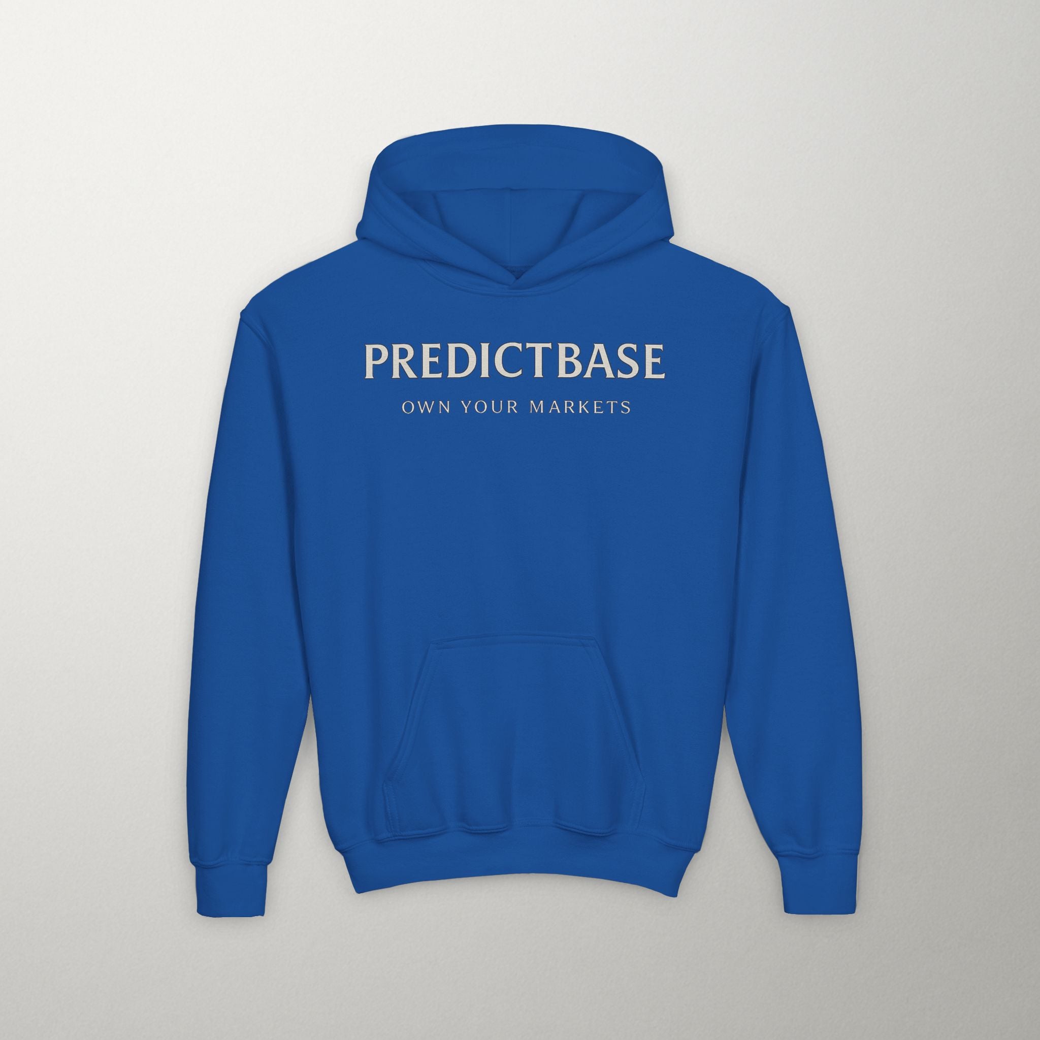 Predictbase Youth Hoodie | Predibot Logo Edition